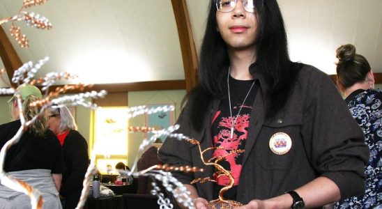 Money grows on wire trees at Sarnia youth makers expo