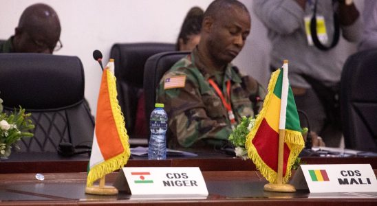 Niger why ECOWAS and the African Union are not on