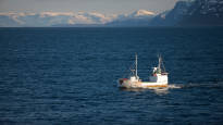 Norwegian fishermen refuse to get out of the way of