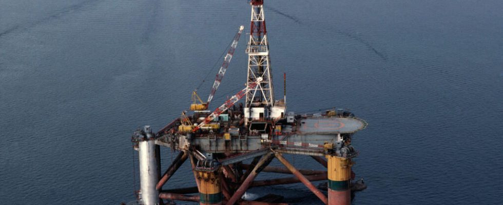Oil discoveries off Namibia estimated at 11 billion barrels