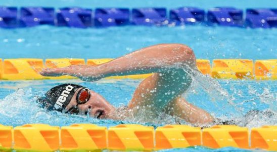 Paraswimming World Cup day 5 Gold and two times silver