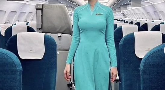 Prostitution scandal in the airline company Stewardess team sex gang