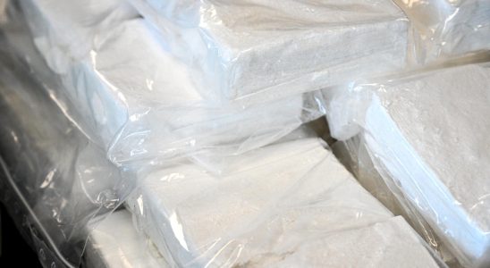 Received 21 kilos of cocaine six are sentenced in