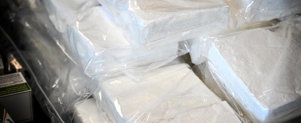 Received 21 kilos of cocaine six are sentenced in