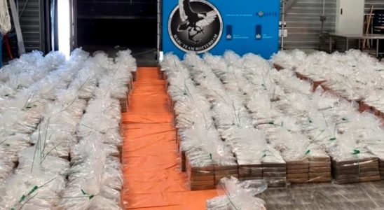 Record seizure of cocaine in Rotterdam