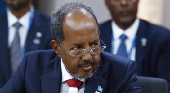 Somalia President wants to eradicate Shebabs in five months