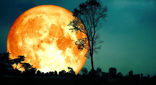 Super Blue Moon What Youll Really See This Wednesday Night
