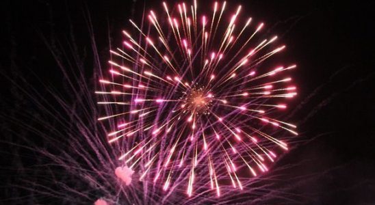 Survey says Londoners split on allowing backyard fireworks