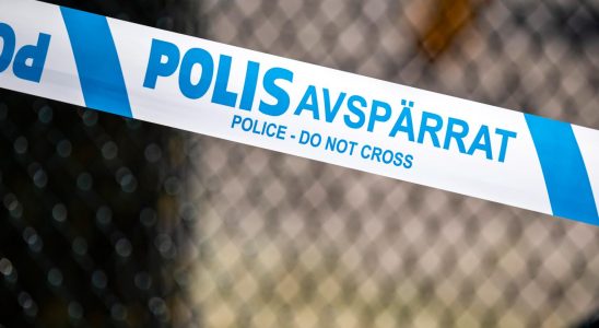 Teenager stabbed in Stockholm