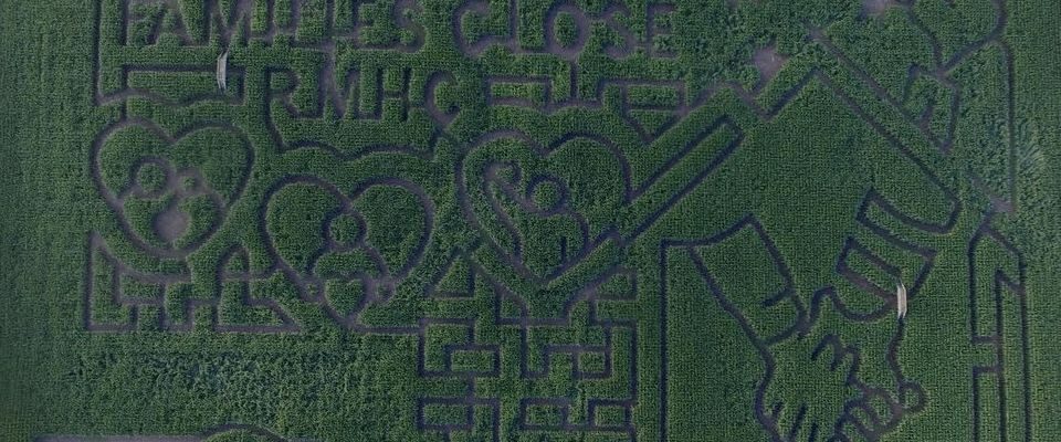 Thamesville corn maze design promotes Ronald McDonald House Charities