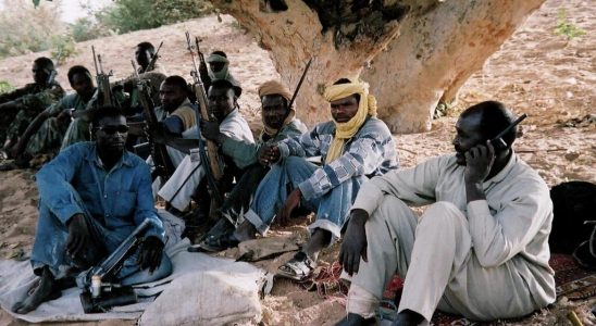 The Darfur war seen through the trial of Ali Kushayb