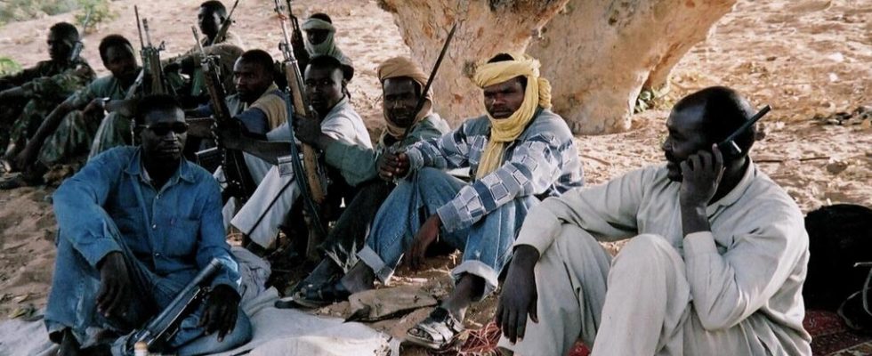 The Darfur war seen through the trial of Ali Kushayb