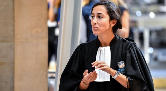 The art of advocacy Olivia Ronen lawyer for Salah Abdeslam