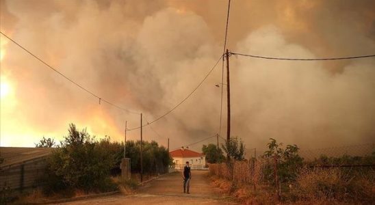 The balance sheet of fires in Greece is getting heavier