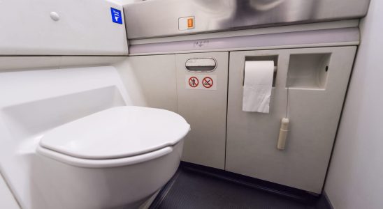 This flight attendant advises never to use toilet paper on