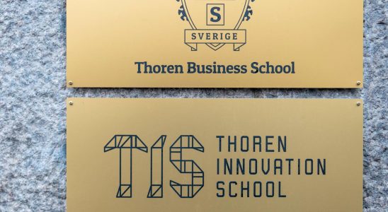Thorengruppen closes school in Malmo