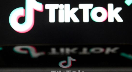 TikTok France changes its mind after a damning report from