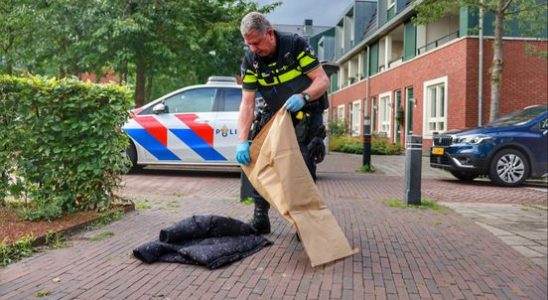 Two boys arrested in Zeist after a probably out of