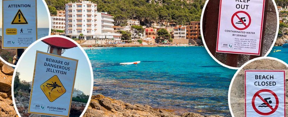 Warning labels deceive tourists from swimming in Mallorca