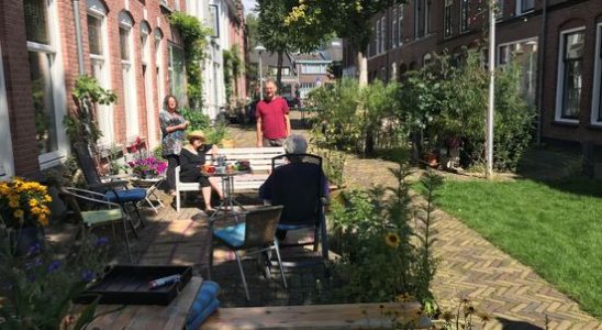 What makes the residential street an Utrecht summer idyll No