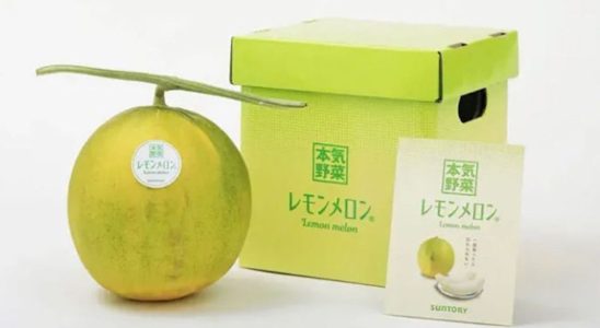 Will melon lemon become the new trendy Japanese ingredient