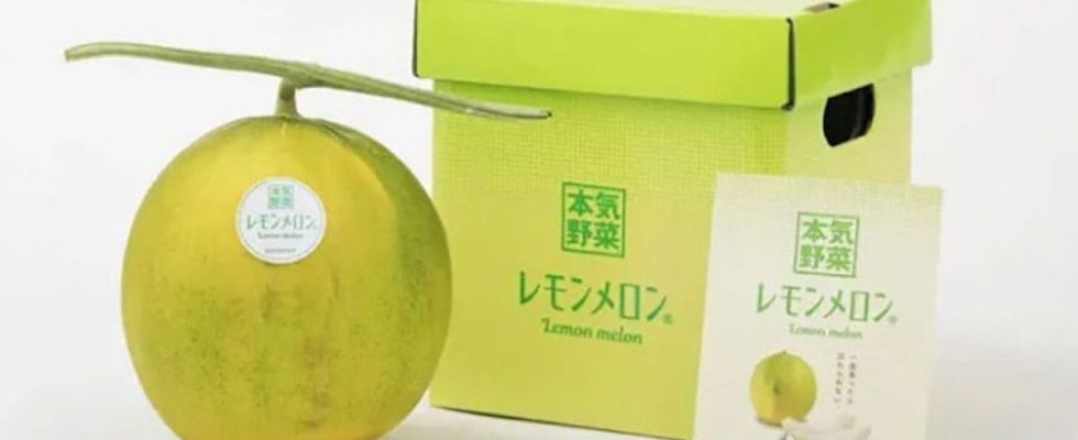 Will melon lemon become the new trendy Japanese ingredient