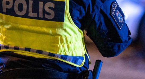 Woman raped in central Gothenburg one arrested