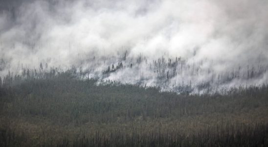 a historic fire season 139 million hectares have already burned