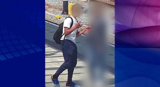 14 year old suspect of assault at Utrecht CS and Breukelen station
