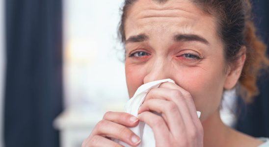 Ambrosia allergy symptoms what to do