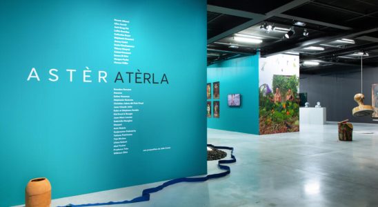 Aster Aterla a 100 Reunionese exhibition at the CCC OD