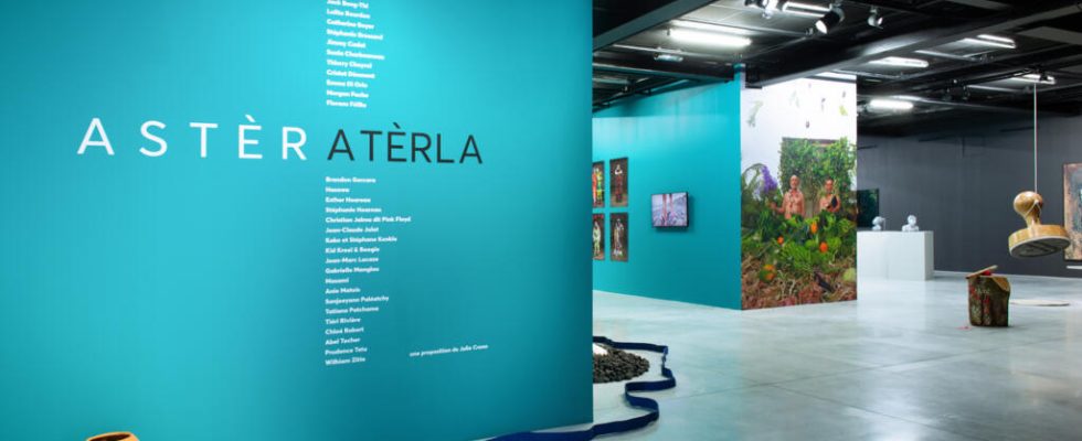 Aster Aterla a 100 Reunionese exhibition at the CCC OD