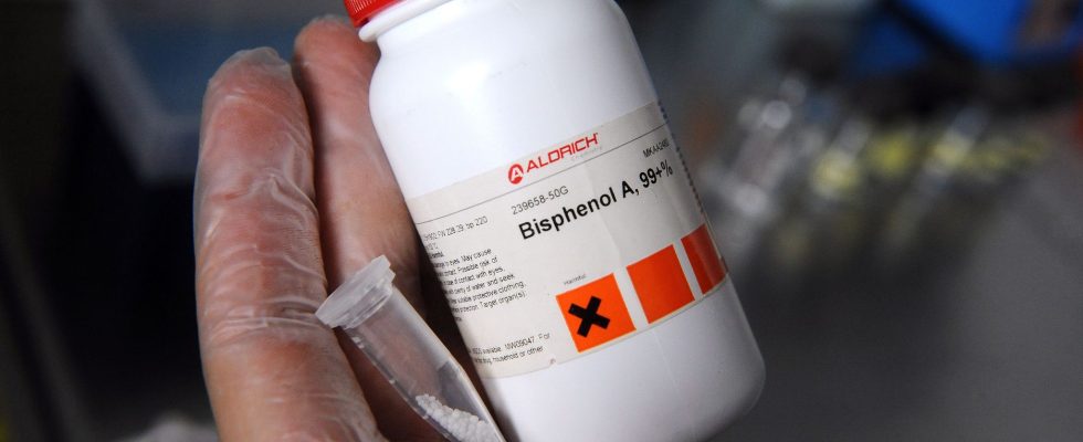 Bisphenol A an omnipresence which worries The only solution is