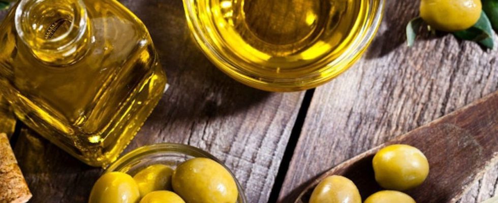 Brain heart longevity Olive oil is full of health benefits