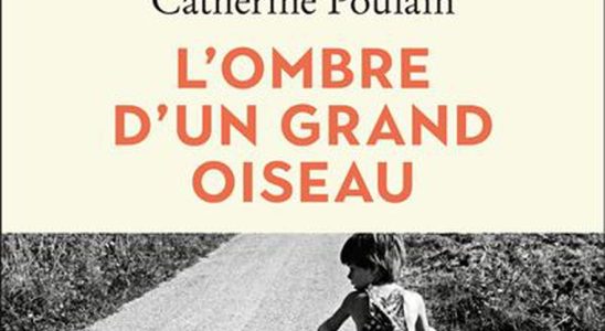 Catherine Poulain Caryl Ferey Dominique Barberis books not to be