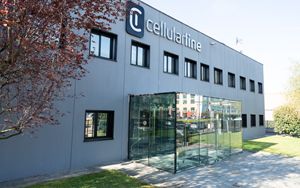 Cellularline 1st half year results up 243