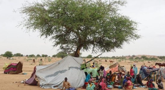 Chad the World Bank announces 340 million to cope with
