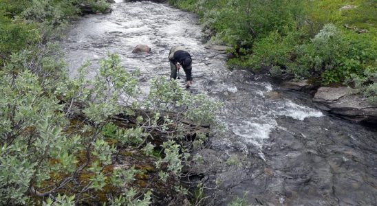 Climate Live European waterways need more protection