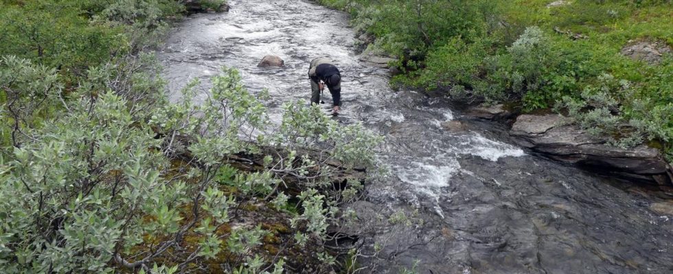 Climate Live European waterways need more protection