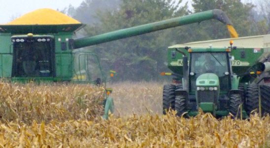 Corn stover supply rating aids Sarnia area effort to attract bio chemical
