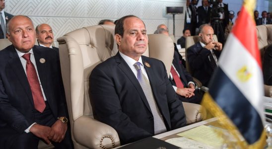 Egypt al Sissis plan to control births in the face of