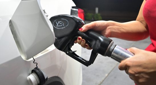 Fuels distributors authorized to sell at a loss for a