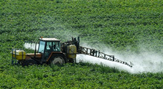 Glyphosate why does the EU want to extend the authorization