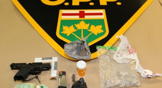 Handgun and drugs found at St Clair Township traffic stop