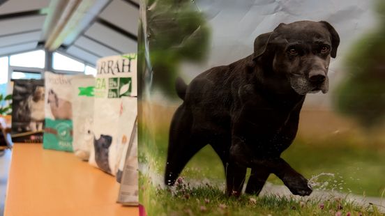 Harmelen Animal Shelter makes shopping bag from feed sack to