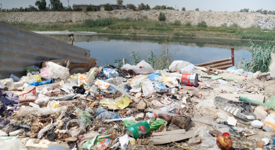 In Iraq environmentalists are swimming against the tide