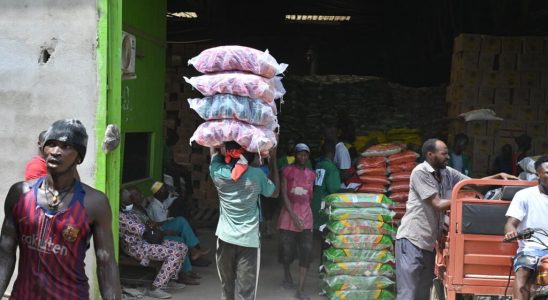Ivory Coast suspends sugar and rice exports until the end