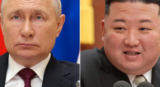 Kim Jong Un plans to meet Vladimir Putin