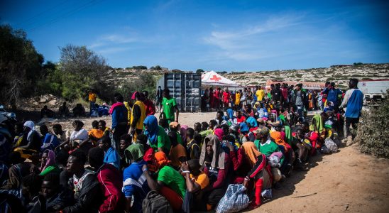 Lampedusa what the latest figures say about the influx of