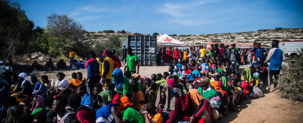Lampedusa what the latest figures say about the influx of